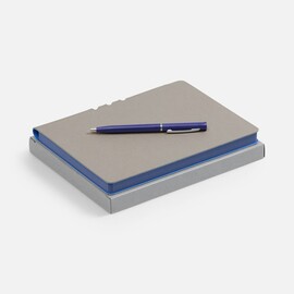 Набор Flexpen, серебристо-синий