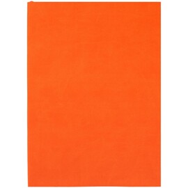 Ежедневник Flat Light, недатированный, оранжевый