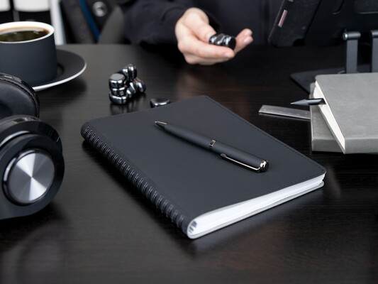 Ручка шариковая Inkish Gunmetal в футляре, белая