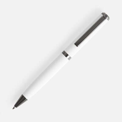 Ручка шариковая Inkish Gunmetal в футляре, белая
