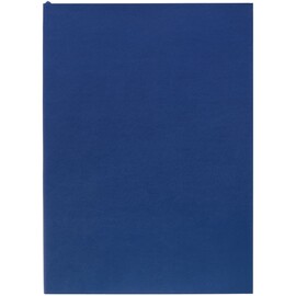 Ежедневник Flat Light ver.2, недатированный, синий